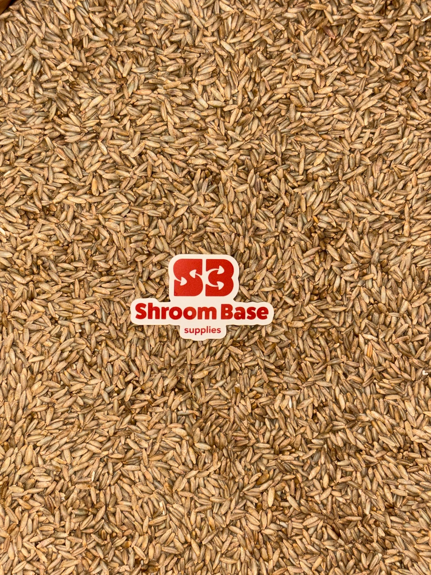 Organic Rye Grain