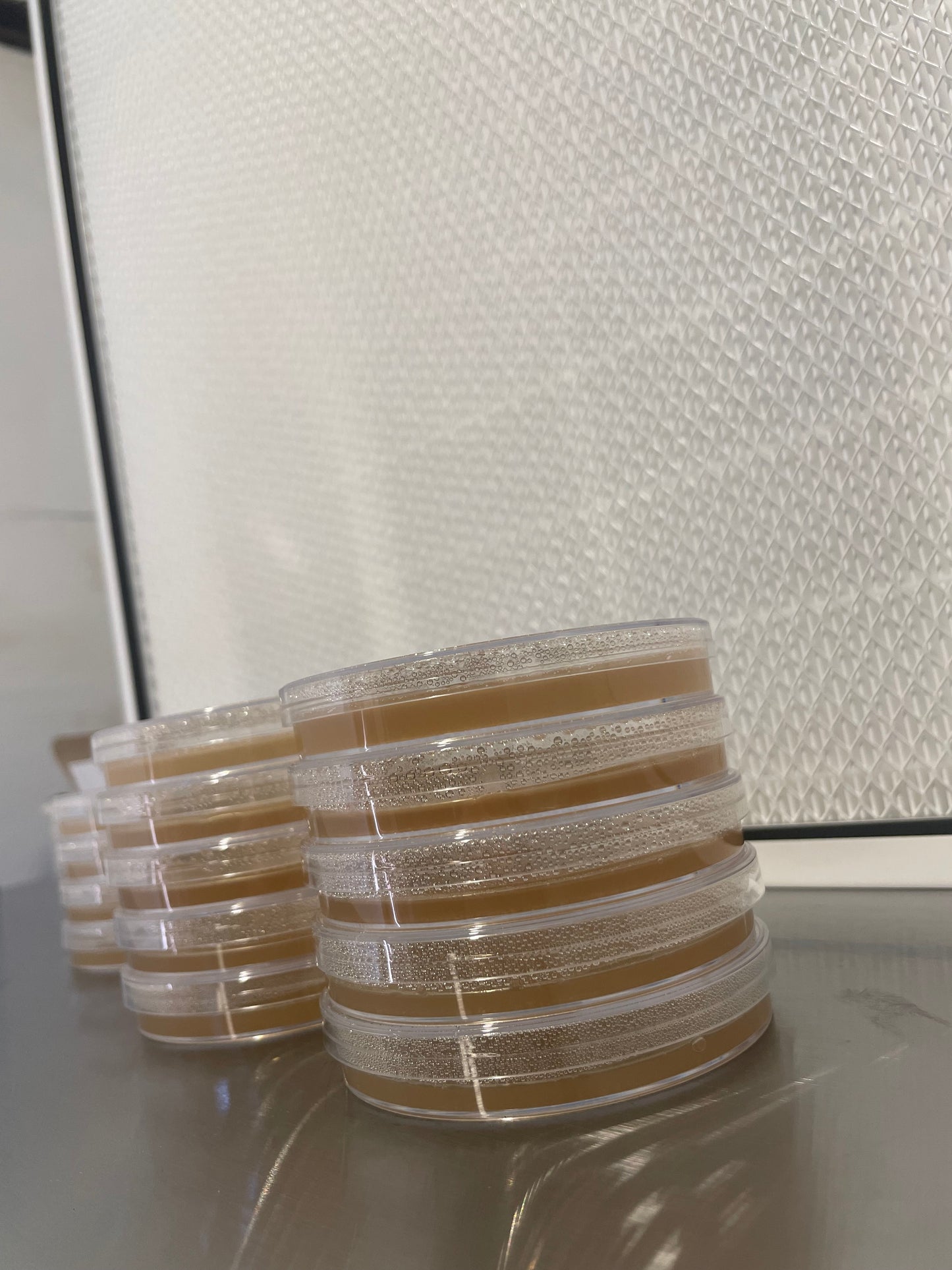Pre-Poured Agar Plates