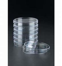 Petri Dishes